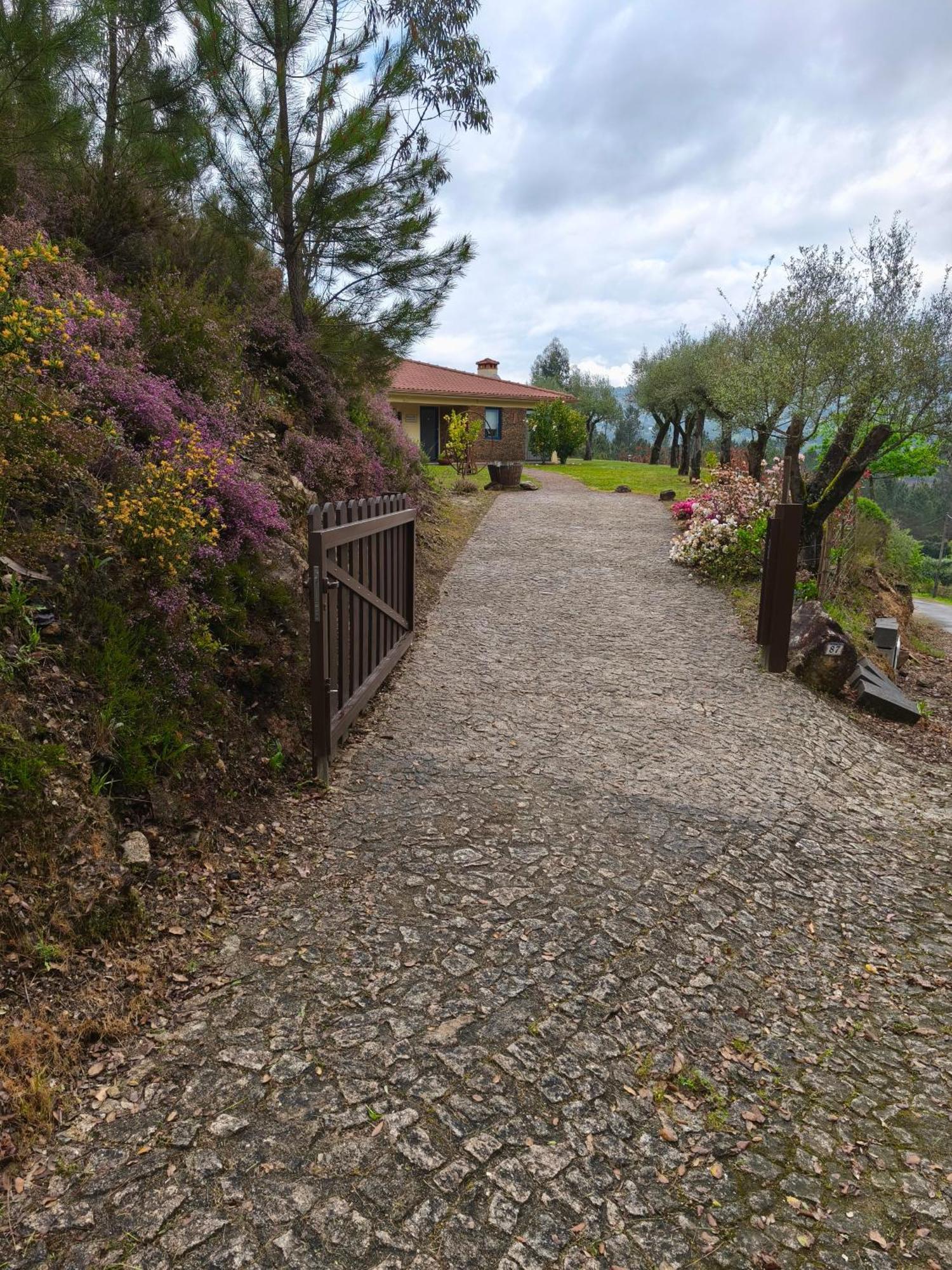 Boavista Country Houses No 87 Cabeceiras de Basto Exterior photo